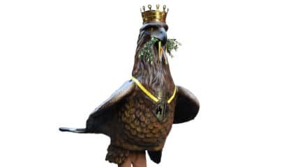 àliga de Terrassa àliga de Terrassa